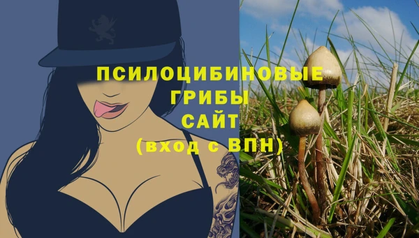 мяу мяу мука Горнозаводск