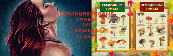 скорость Горно-Алтайск
