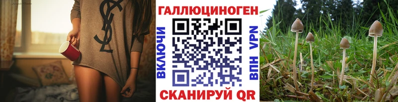 Купить  Рубцовск  Галлюциногенные грибы прущие грибы 